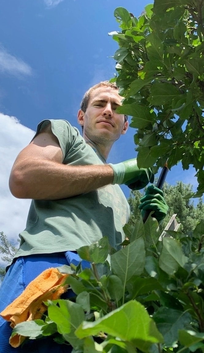 Lukas trimming apple tree
